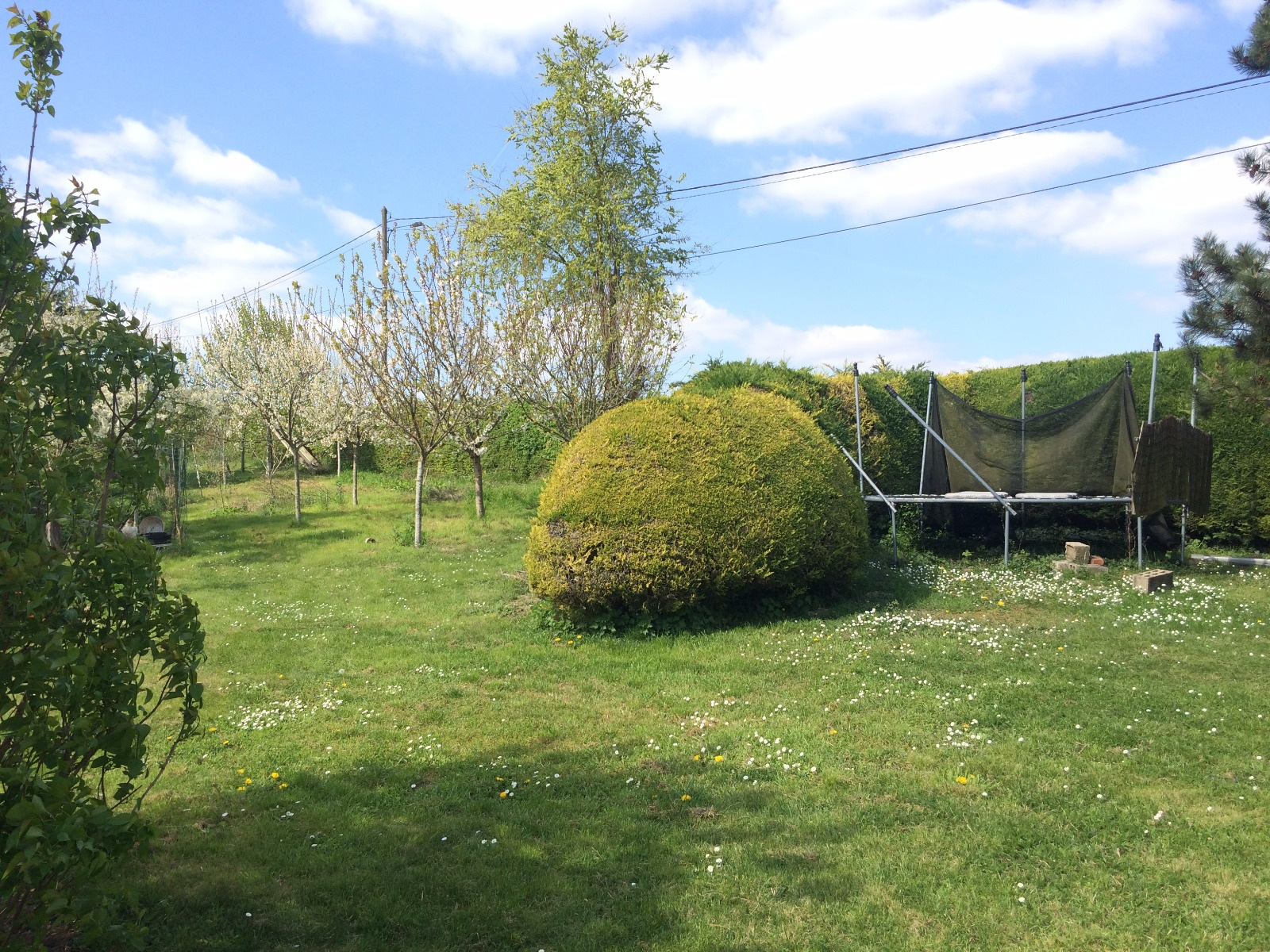 Offres de vente Terrain Beynes 78650